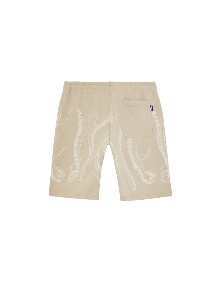 Octopus Bermuda Tentacoli