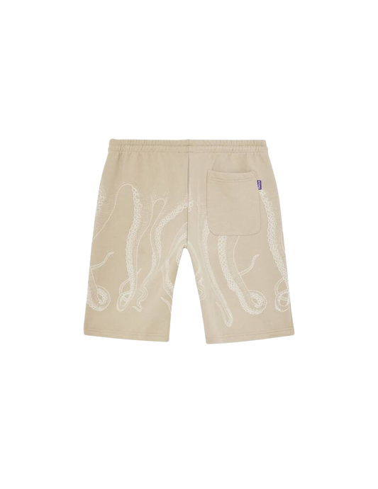 Octopus Bermuda Tentacoli