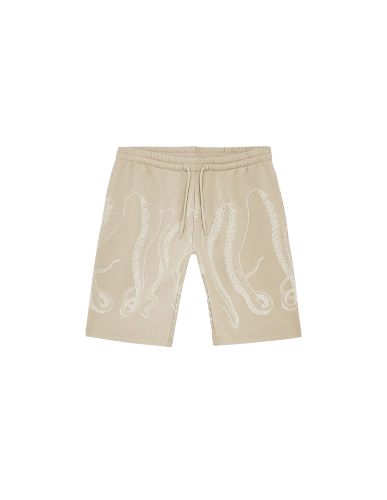 Octopus Bermuda Tentacoli