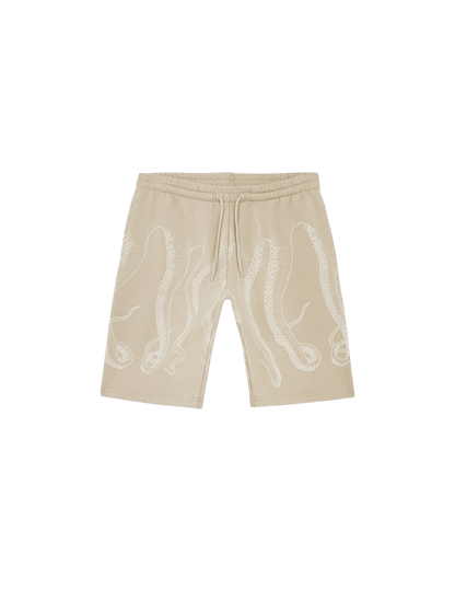 Octopus Bermuda Tentacoli