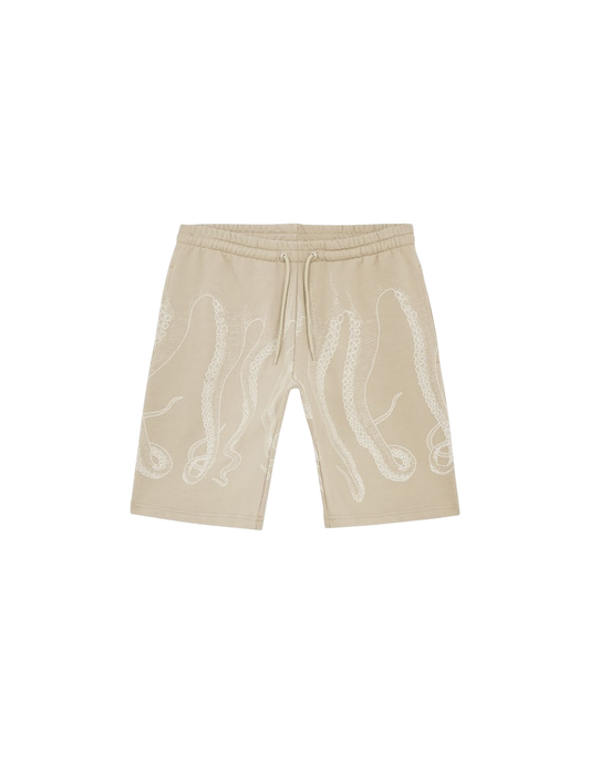 Octopus Bermuda Tentacoli