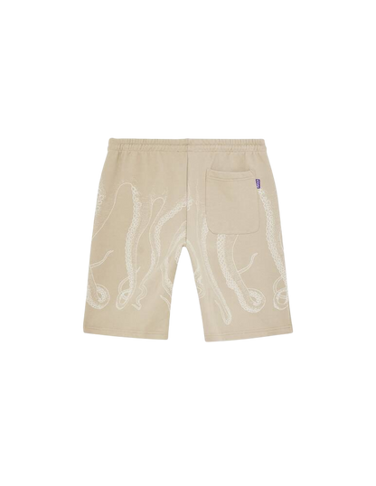 Octopus Bermuda Tentacoli